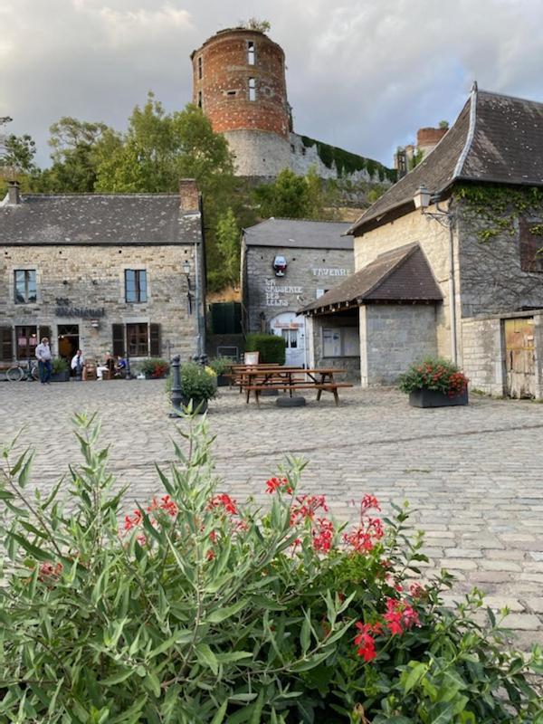 Chalet De Luve Vireux-Wallerand エクステリア 写真