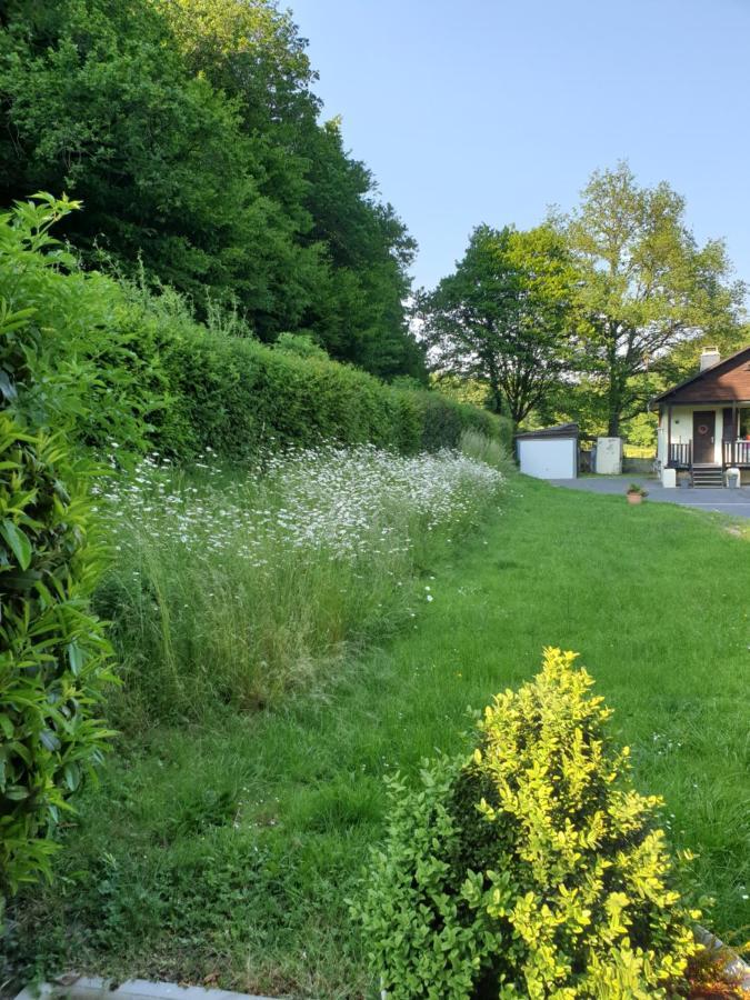 Chalet De Luve Vireux-Wallerand エクステリア 写真